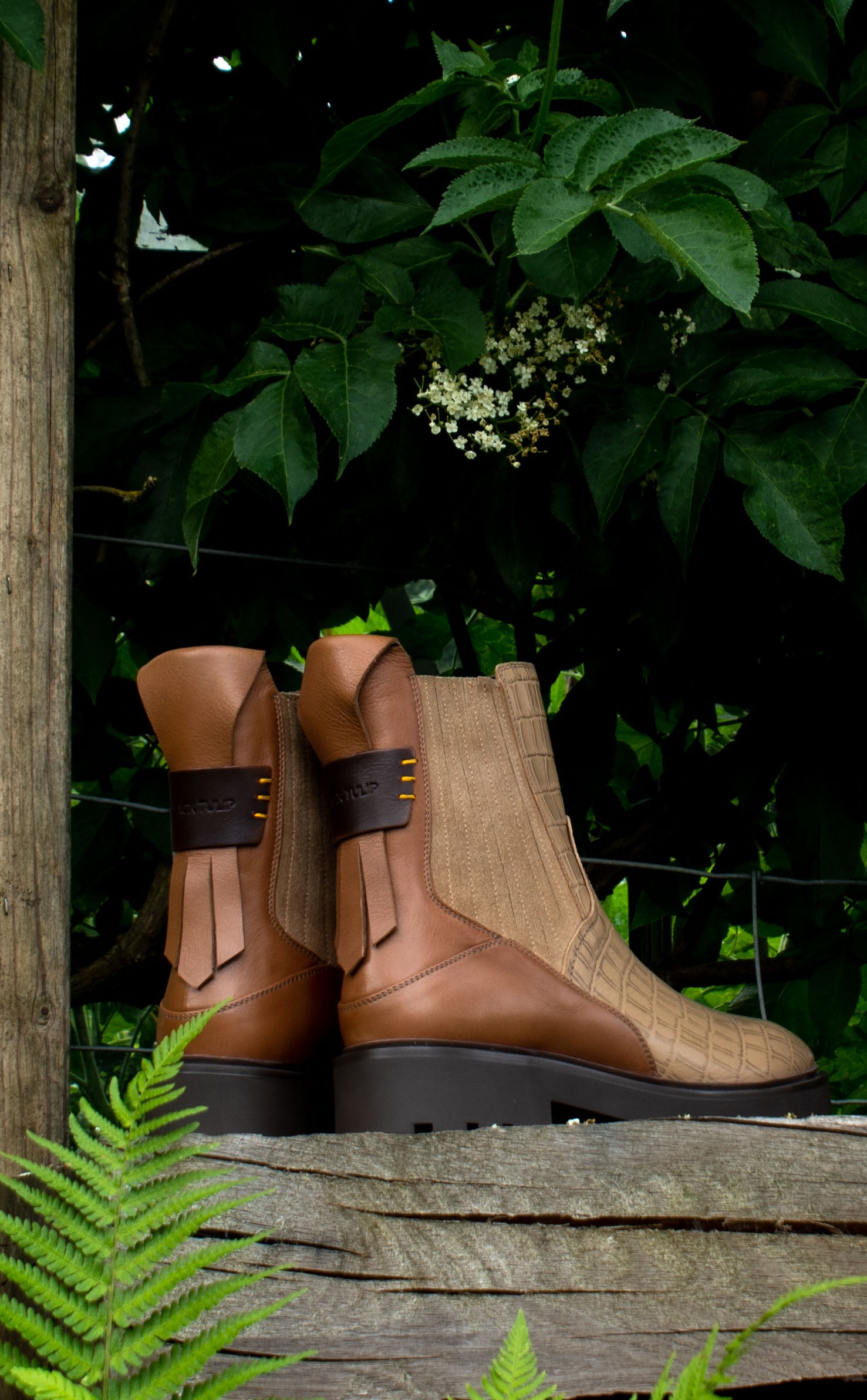 Ankle Boots